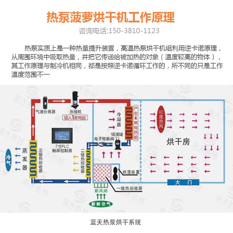 菠萝干烘干机工作原理