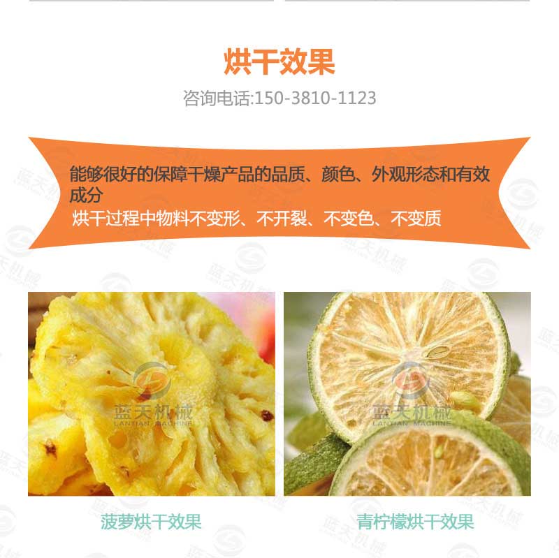 菠萝干烘干机烘干效果